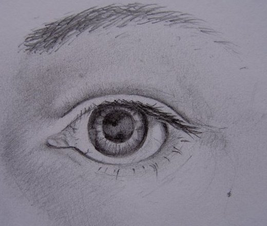 Eye, pencil sketch, 2007