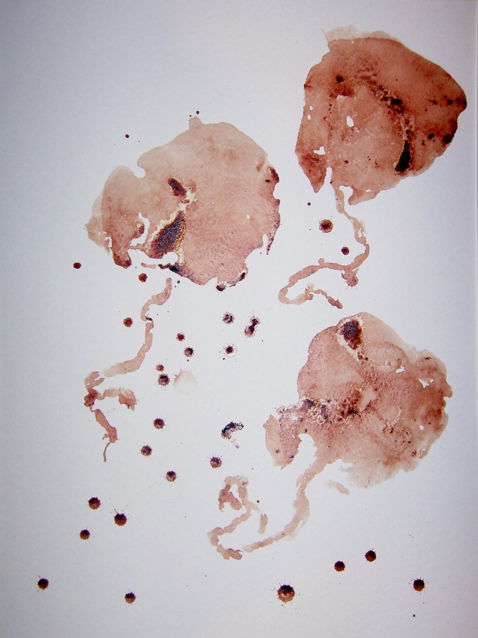 Placenta Art: Jellyfish, 2004