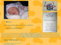 screenshot website: Zyal (2005)